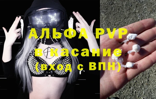 гашик Алексеевка