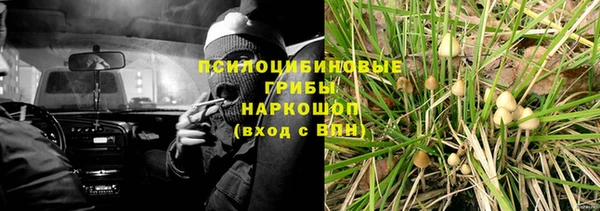 гашик Алексеевка