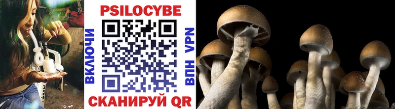 Псилоцибиновые грибы мухоморы  Венёв 